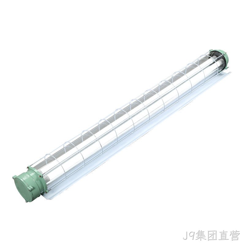Z03系列防爆支架灯